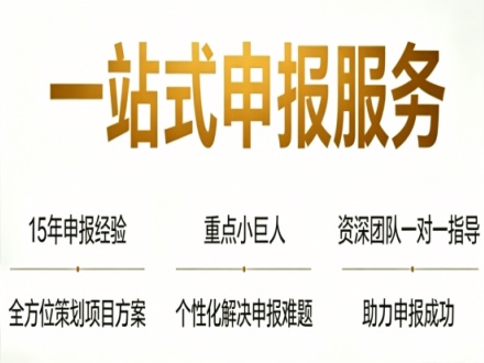 重点小巨人申报条件